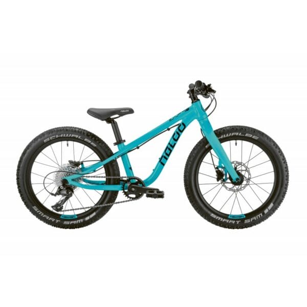 Hill Bill 20", Mk2, 9-Speed, Turquoise