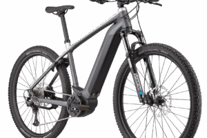 Bixs Access E20 Gor