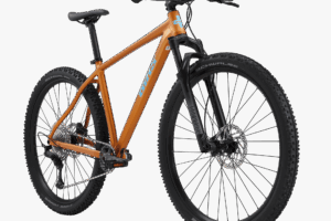 Bixs Core 300 brown