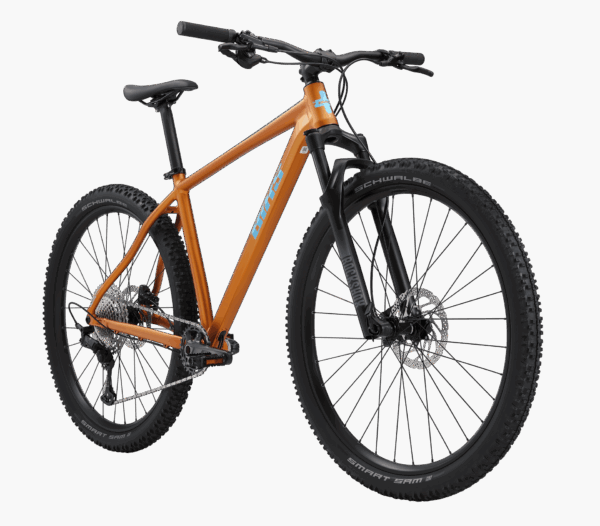 Bixs Core 300 brown
