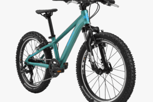 BiXS BX TRACTION 200