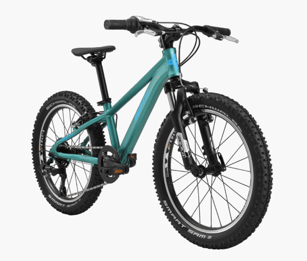 BiXS BX TRACTION 200