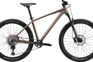 BiXS STORM 100 brown metallic