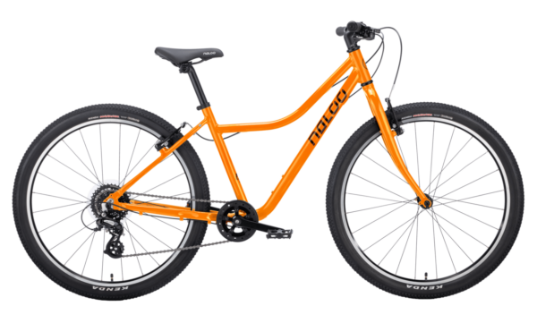 NALOO CHAMELEON Mk2.1