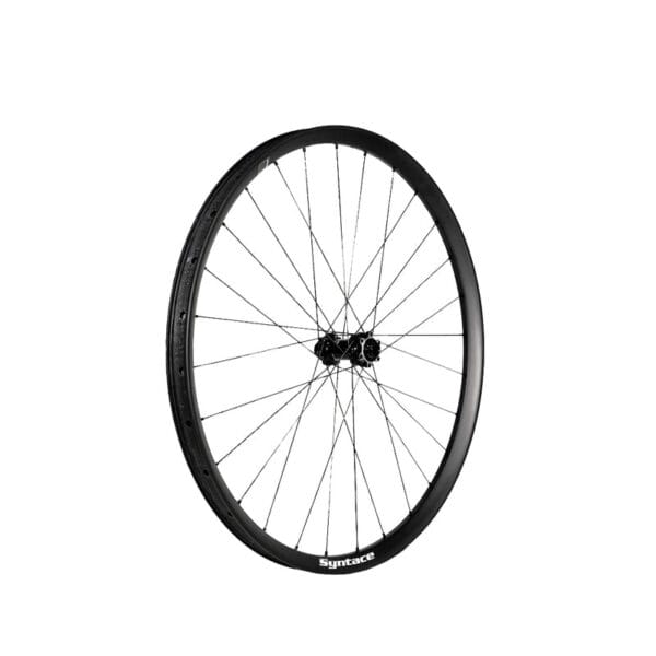 C33G Carbon Vorderrad 29"