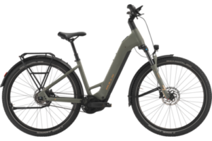 BULLS ICONIC EVO BELT