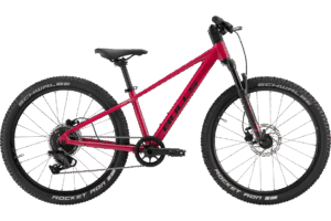 BULLS TOKEE DISC 24